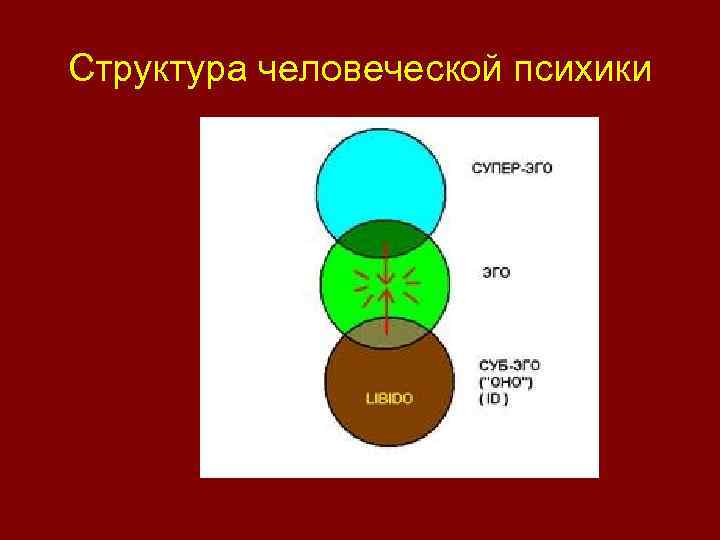 Структура человеческой психики 