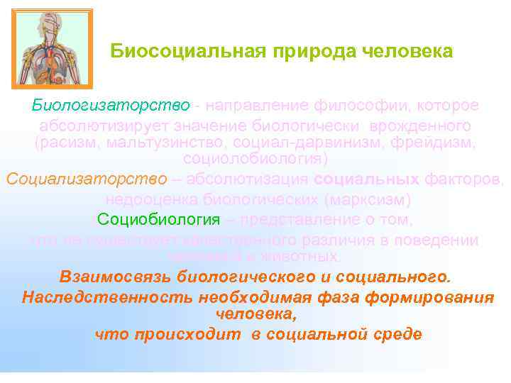 Биологизаторская и социологизаторская концепция сущности человека. Биосоциальная природа человека. Биосоциальная природа человека философия. Концепция биосоциальной природы человека. Биологизаторство.