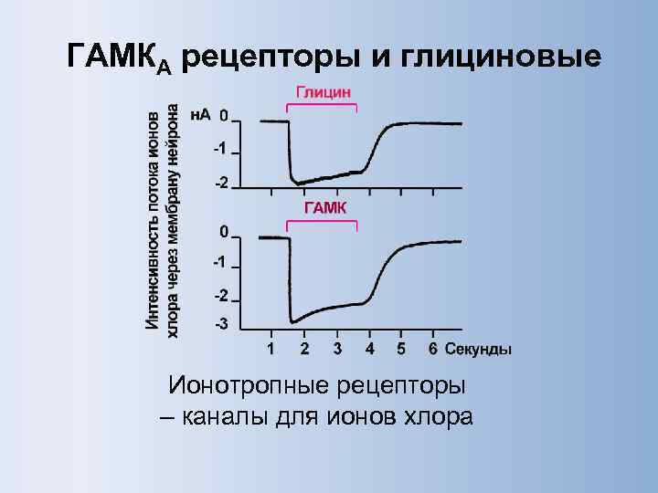 ГАМКА рецепторы и глициновые Ионотропные рецепторы – каналы для ионов хлора 