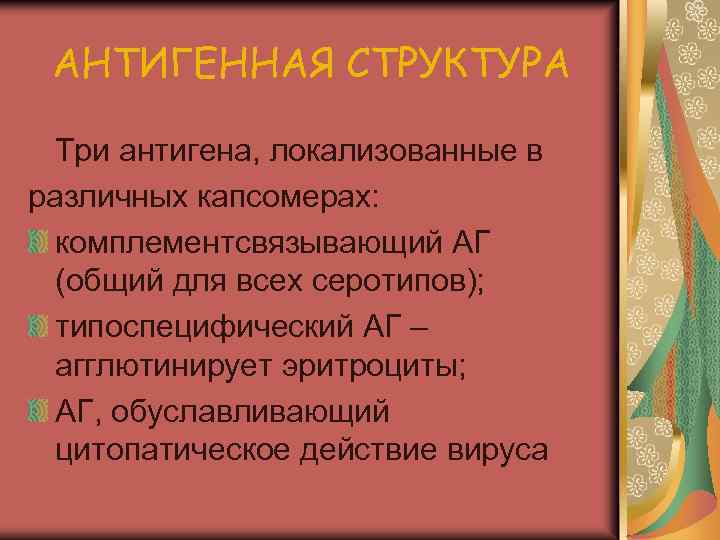 АНТИГЕННАЯ СТРУКТУРА Три антигена, локализованные в различных капсомерах: комплементсвязывающий АГ (общий для всех серотипов);