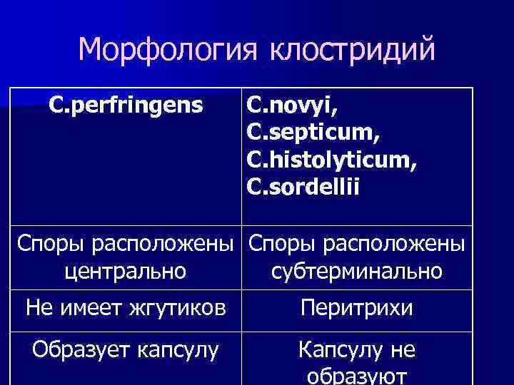 Морфология клостридий C. perfringens C. novyi, C. septicum, C. histolyticum, C. sordellii Споры расположены