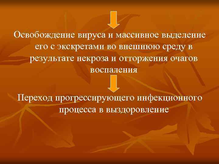 Освобождение вируса и массивное выделение его с экскретами во внешнюю среду в результате некроза