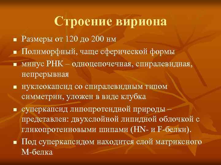 Строение вириона n n n Размеры от 120 до 200 нм Полиморфный, чаще сферической