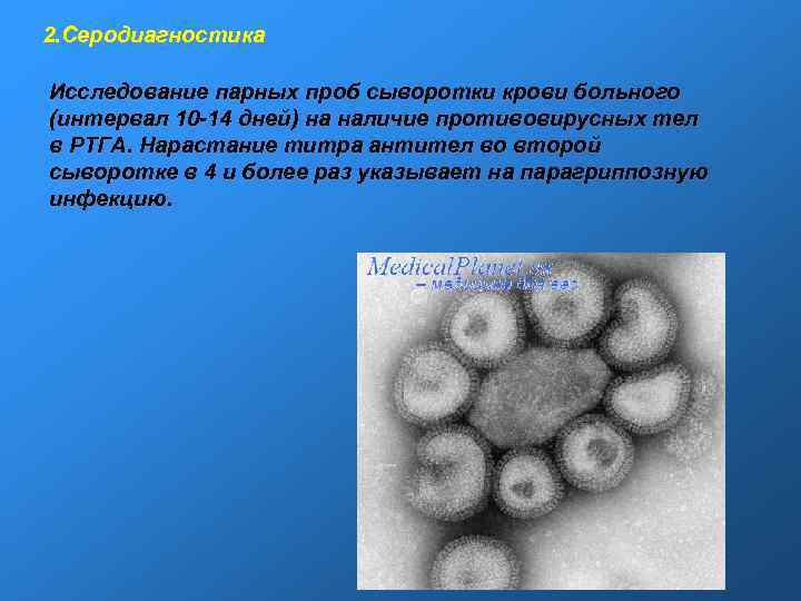2. Серодиагностика Исследование парных проб сыворотки крови больного (интервал 10 -14 дней) на наличие