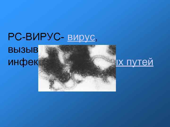 РС-ВИРУС- вирус, вызывающий инфекции дыхательных путей 