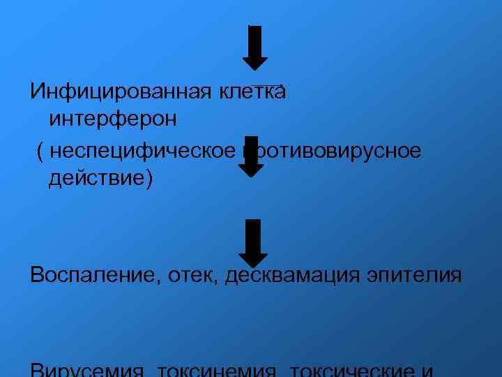 Инфицированная клетка интерферон ( неспецифическое противовирусное действие) Воспаление, отек, десквамация эпителия 