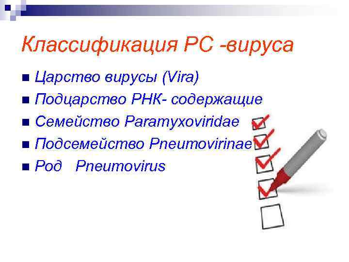 Классификация РС -вируса Царство вирусы (Vira) n Подцарство РНК- содержащие n Семейство Paramyxoviridae n