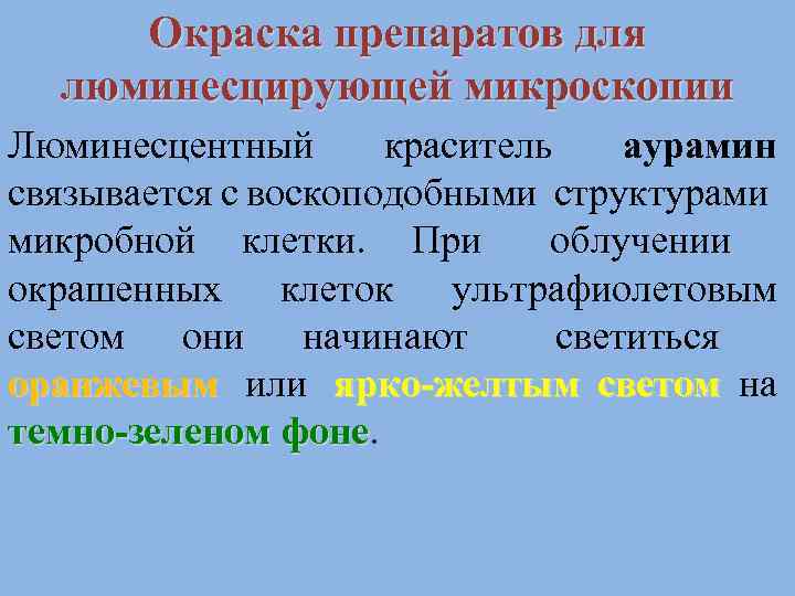 Окраска препаратов для люминесцирующей микроскопии Люминесцентный краситель аурамин связывается с воскоподобными структурами микробной клетки.