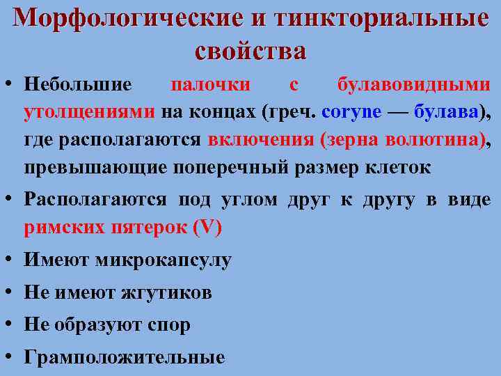 Морфологические и тинкториальные свойства • Небольшие палочки с булавовидными утолщениями на концах (греч. соrynе