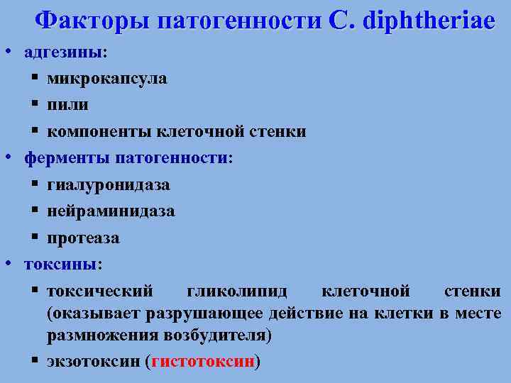 Факторы патогенности C. diphtheriae • адгезины: § микрокапсула § пили § компоненты клеточной стенки