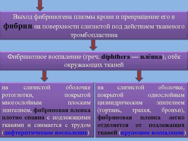 Выход фибриногена плазмы крови и превращение его в фибрин на поверхности слизистой под действием