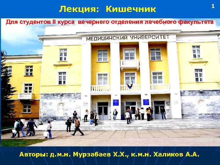 Лекция: Кишечник 1 Для студентов II курса вечернего отделения лечебного факультета Авторы: д. м.