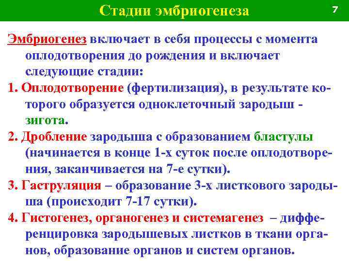 Стадии эмбриогенеза 7 Эмбриогенез включает в себя процессы с момента оплодотворения до рождения и