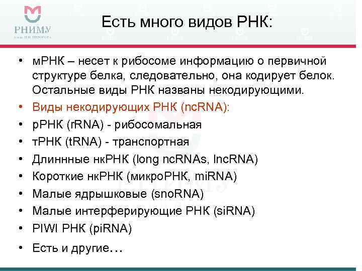 Есть много видов РНК: • м. РНК – несет к рибосоме информацию о первичной
