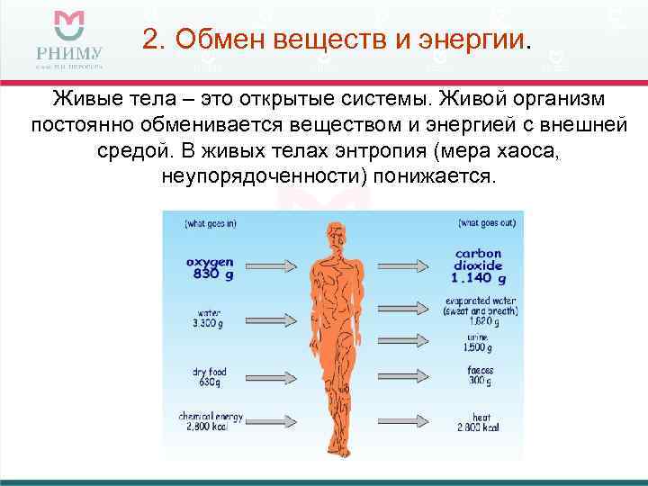 2. Обмен веществ и энергии. Живые тела – это открытые системы. Живой организм постоянно