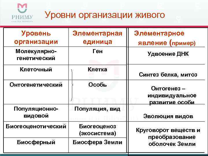 Уровни организации живого Уровень организации Элементарная Элементарное единица явление (пример) Молекулярногенетический Ген Клеточный Клетка