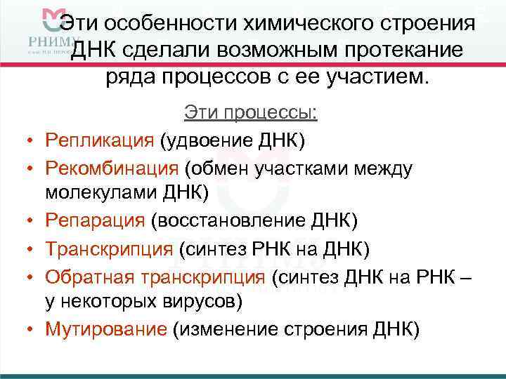 Эти особенности химического строения ДНК сделали возможным протекание ряда процессов с ее участием. •