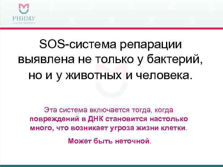 SOS-система репарации выявлена не только у бактерий, но и у животных и человека. Эта