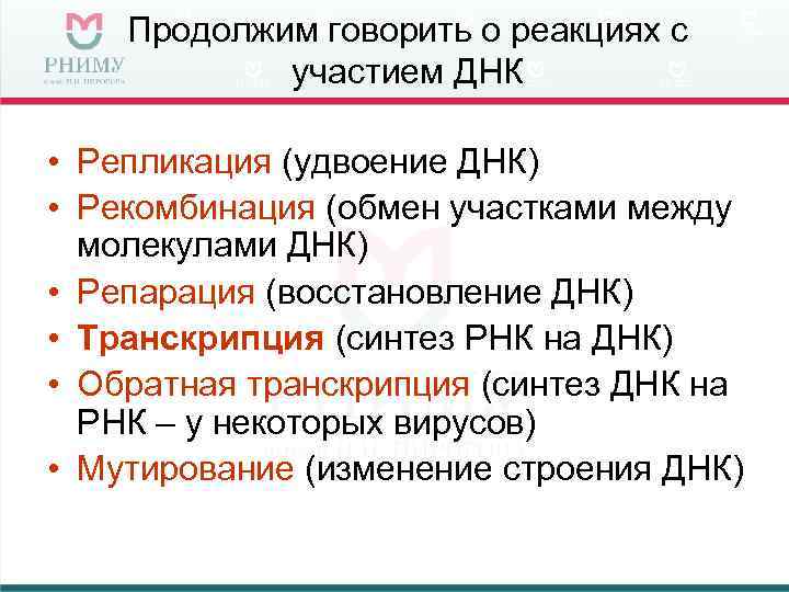 Продолжим говорить о реакциях с участием ДНК • Репликация (удвоение ДНК) • Рекомбинация (обмен