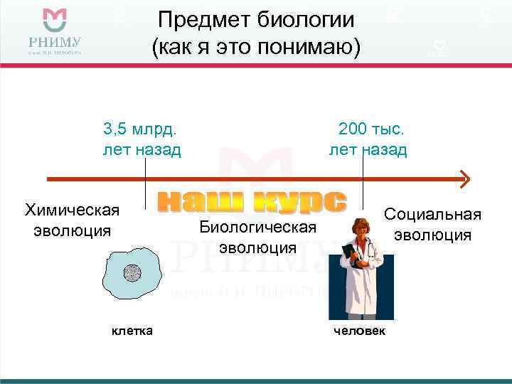Предмет биологии (как я это понимаю) 3, 5 млрд. лет назад Химическая эволюция клетка
