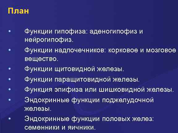 План • • Функции гипофиза: аденогипофиз и нейрогипофиз. Функции надпочечников: корковое и мозговое вещество.