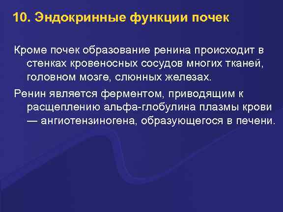 10. Эндокринные функции почек Кроме почек образование ренина происходит в стенках кровеносных сосудов многих