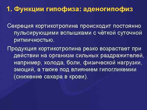 1. Функции гипофиза: аденогипофиз Секреция кортикотропина происходит постоянно пульсирующими вспышками с чёткой суточной ритмичностью.