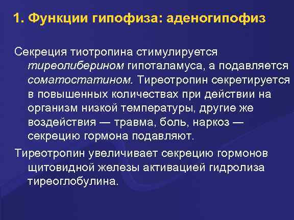 1. Функции гипофиза: аденогипофиз Секреция тиотропина стимулируется тиреолиберином гипоталамуса, а подавляется соматостатином. Тиреотропин секретируется
