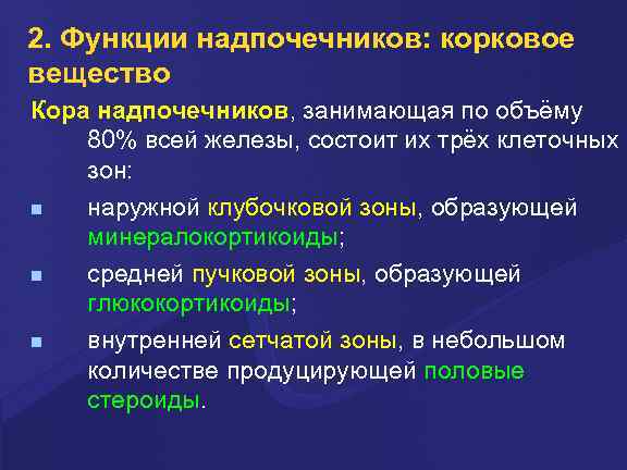 2. Функции надпочечников: корковое вещество Кора надпочечников, занимающая по объёму 80% всей железы, состоит