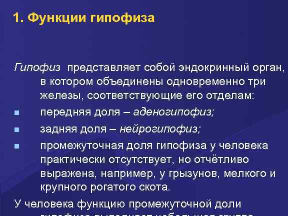 1. Функции гипофиза Гипофиз представляет собой эндокринный орган, в котором объединены одновременно три железы,