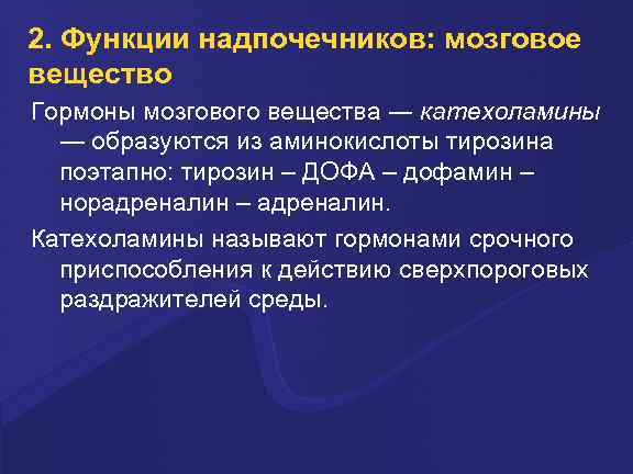 2. Функции надпочечников: мозговое вещество Гормоны мозгового вещества ― катехоламины ― образуются из аминокислоты