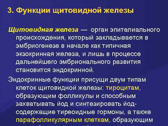 3. Функции щитовидной железы Щитовидная железа ― орган эпителиального происхождения, который закладывается в эмбриогенезе