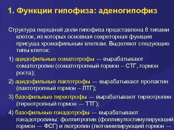 1. Функции гипофиза: аденогипофиз Структура передней доли гипофиза представлена 8 типами клеток, из которых