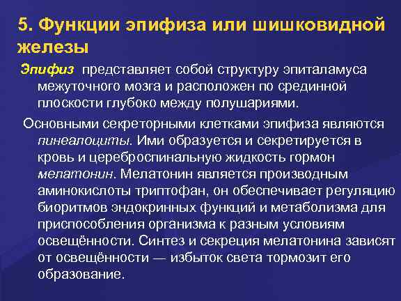 5. Функции эпифиза или шишковидной железы Эпифиз представляет собой структуру эпиталамуса межуточного мозга и