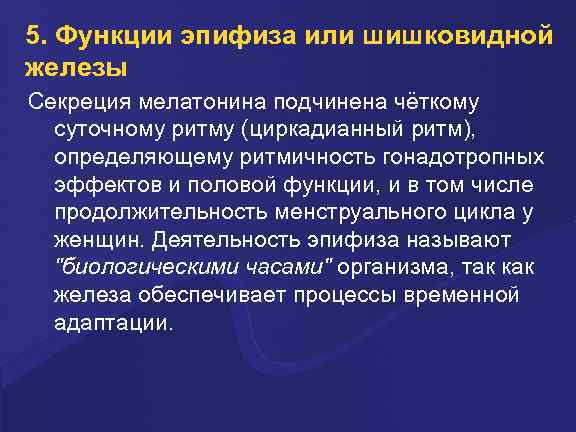 5. Функции эпифиза или шишковидной железы Секреция мелатонина подчинена чёткому суточному ритму (циркадианный ритм),