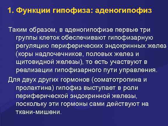 1. Функции гипофиза: аденогипофиз Таким образом, в аденогипофизе первые три группы клеток обеспечивают гипофизарную