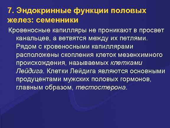 7. Эндокринные функции половых желез: семенники Кровеносные капилляры не проникают в просвет канальцев, а
