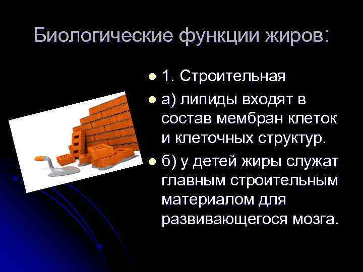 Биологические функции жиров: 1. Строительная l а) липиды входят в состав мембран клеток и