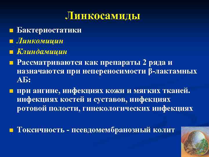 Линкосамиды n n n Бактериостатики Линкомицин Клиндамицин Рассматриваются как препараты 2 ряда и назначаются
