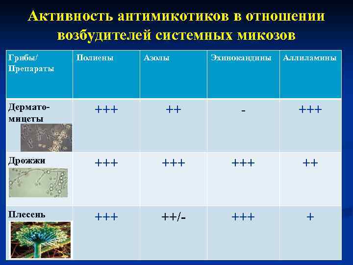 Активность антимикотиков в отношении возбудителей системных микозов Грибы/ Препараты Полиены Азолы Эхинокандины Аллиламины Дерматомицеты