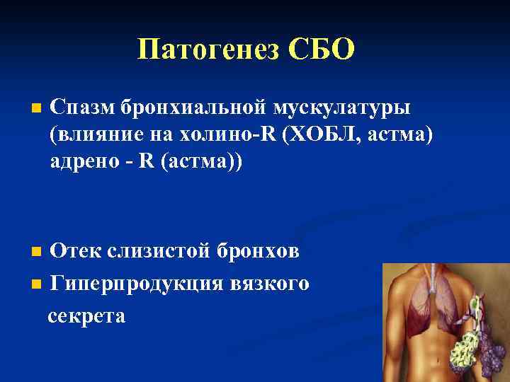 Патогенез СБО n Спазм бронхиальной мускулатуры (влияние на холино-R (ХОБЛ, астма) адрено - R
