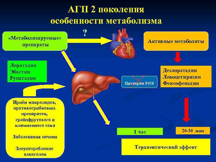 АГП 2 поколения особенности метаболизма ? «Метаболизируемые» Активные метаболиты препараты Лоратадин Эбастин Рупатадин Цитохром