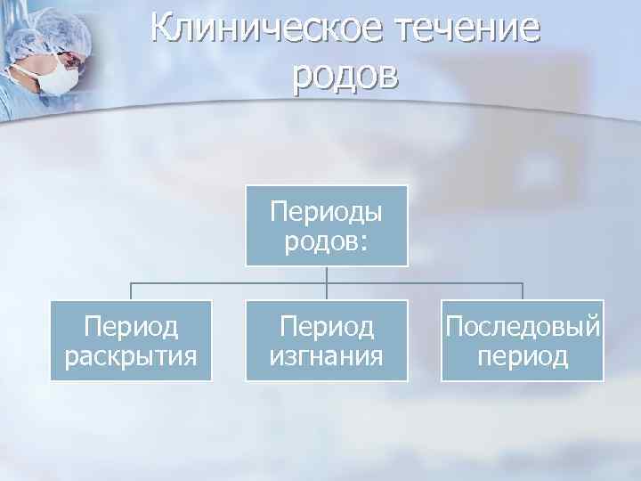 Клиническое течение родов Периоды родов: Период раскрытия Период изгнания Последовый период 