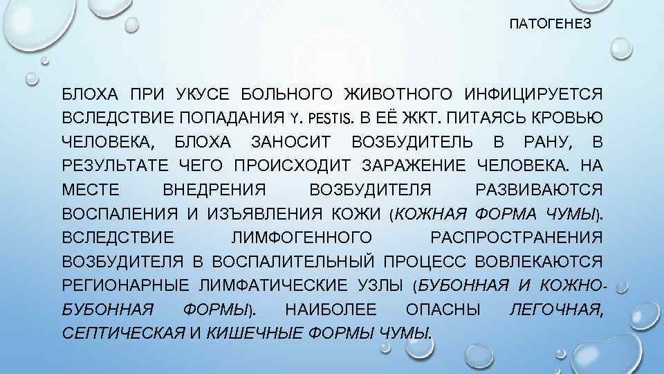 ПАТОГЕНЕЗ БЛОХА ПРИ УКУСЕ БОЛЬНОГО ЖИВОТНОГО ИНФИЦИРУЕТСЯ ВСЛЕДСТВИЕ ПОПАДАНИЯ Y. PESTIS. В ЕЁ ЖКТ.