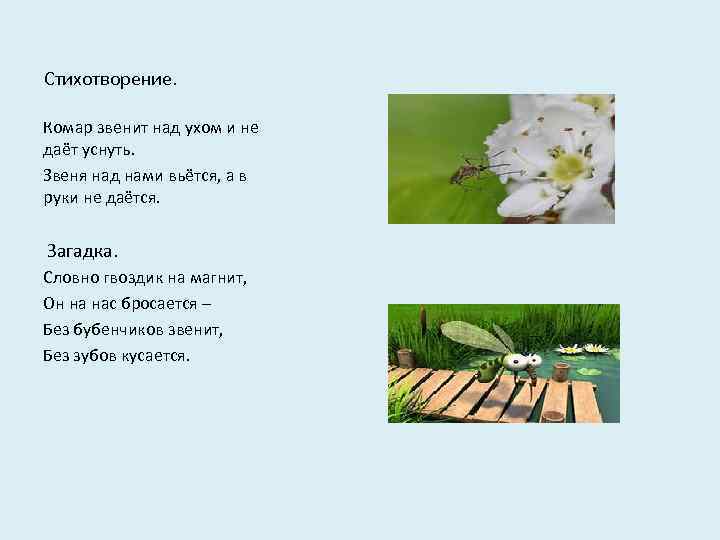 Стихотворение. Комар звенит над ухом и не даёт уснуть. Звеня над нами вьётся, а