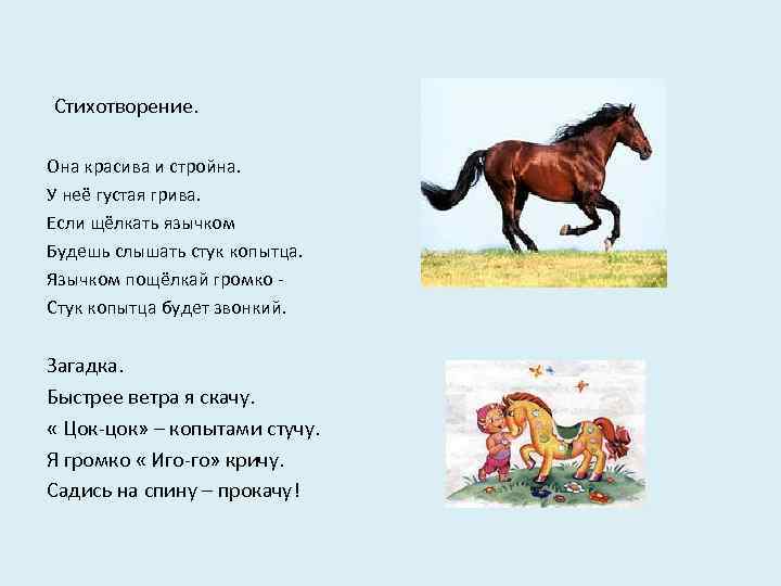 Стихотворение. Она красива и стройна. У неё густая грива. Если щёлкать язычком Будешь слышать