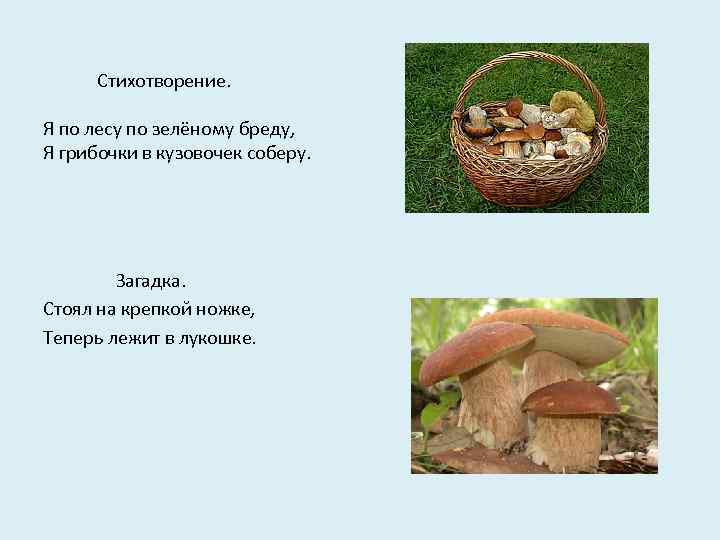 Стихотворение. Я по лесу по зелёному бреду, Я грибочки в кузовочек соберу. Загадка. Стоял