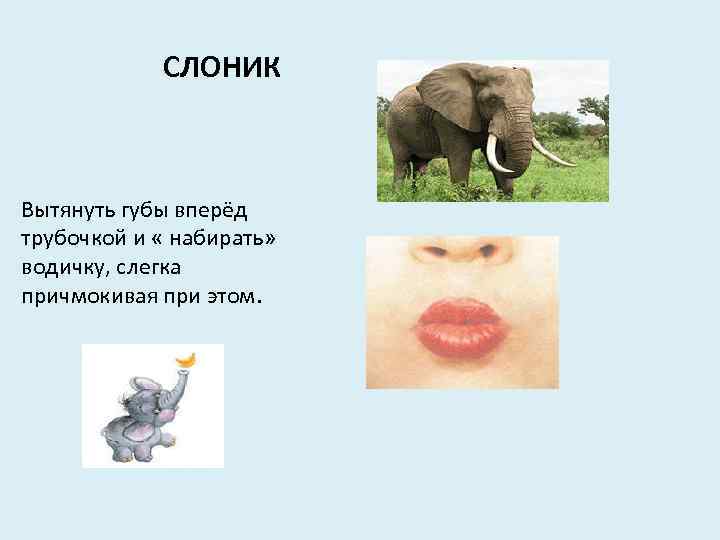 СЛОНИК Вытянуть губы вперёд трубочкой и « набирать» водичку, слегка причмокивая при этом. 