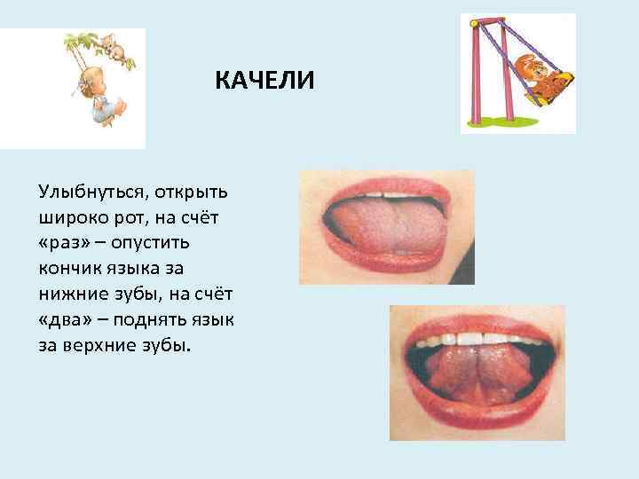 КАЧЕЛИ Улыбнуться, открыть широко рот, на счёт «раз» – опустить кончик языка за нижние