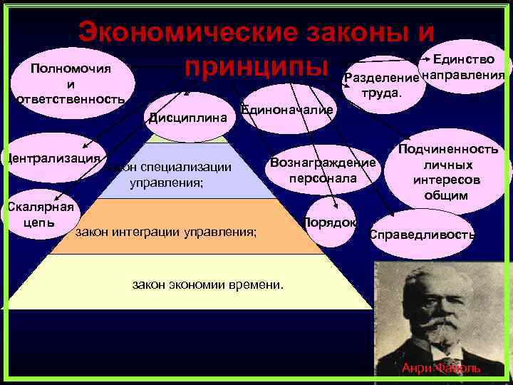 Экономические законы и Единство Полномочия принципы Разделение направления и труда. ответственность Дисциплина Централизация Скалярная